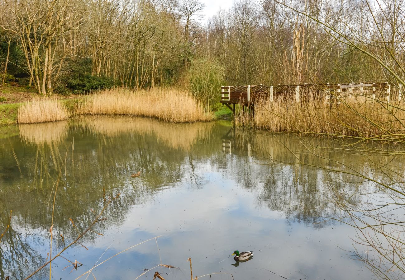 Mobile home in Hastings - Ashland - 2 bedrooms with decking sleeps 4